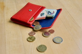 © Vesch NI | Portemonnaie mit Geld